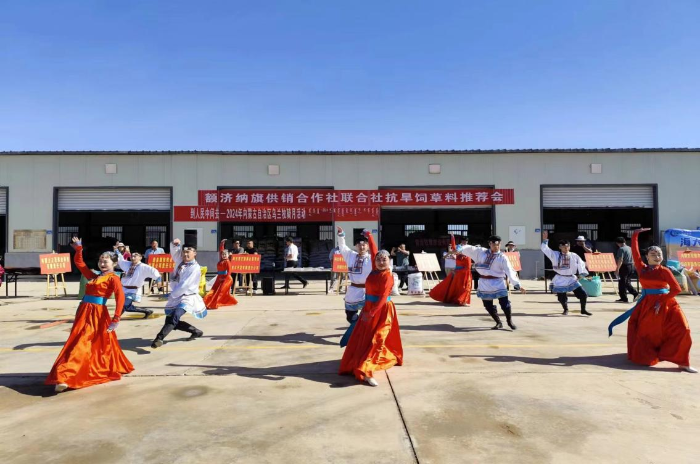 图片6