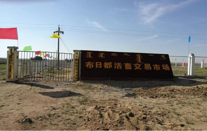 图片1