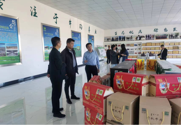 图片4