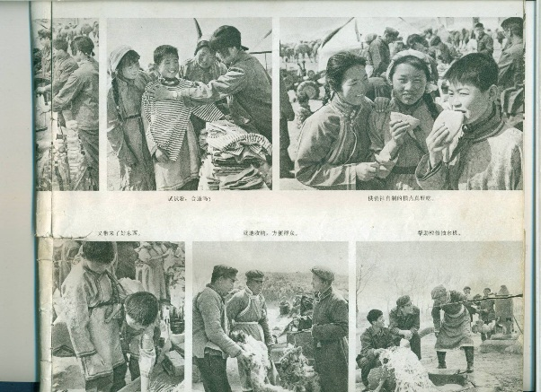 图片4