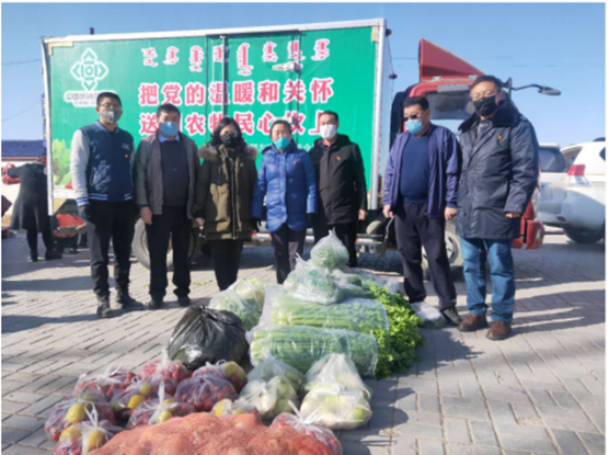 图片15