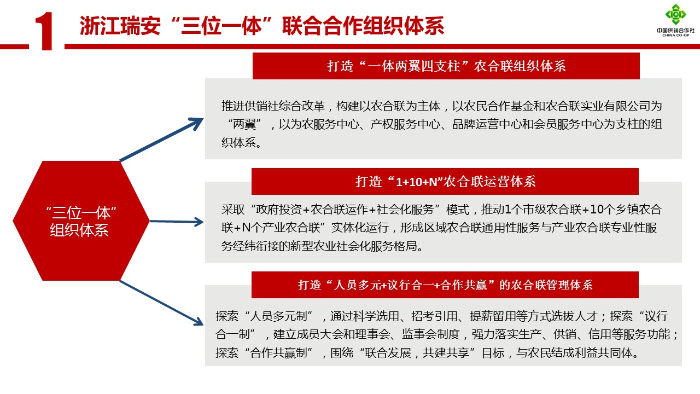 图片21