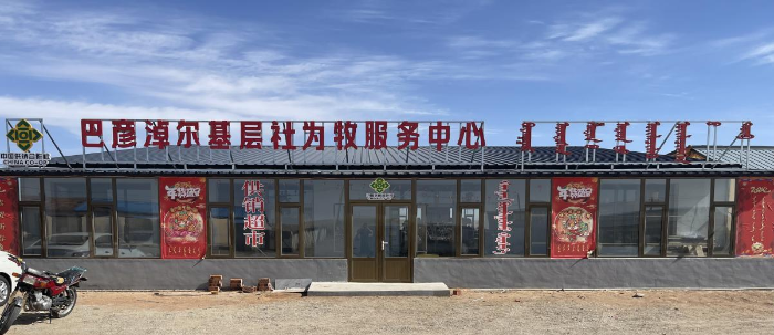 图片10