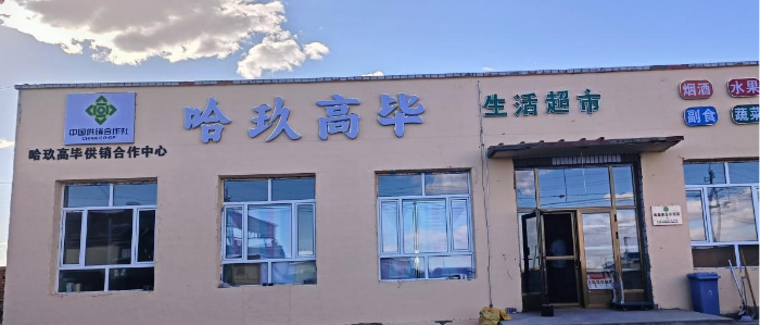 图片11